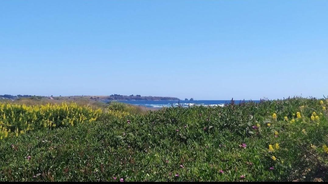 Saldemar Playa Hermosa Pichilemu Kültér fotó